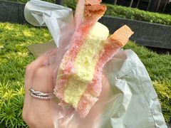-詹爷爷乌节路街头冰淇淋