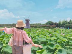 -武汉紫薇都市田园