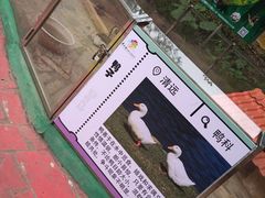 -牛鱼嘴原始生态风景区