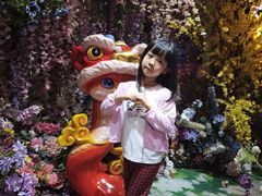 -正佳雨林生态植物园