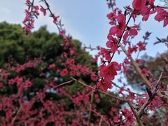 -月坛公园