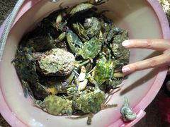-半山半岛洲际度假酒店-沙滩吧