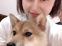 -逗柴咖啡屋·狗咖猫咖宠物桌游