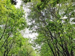 -茅兰沟国家森林公园