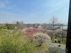 -苏州上方山国家森林公园