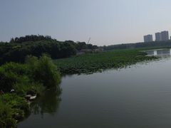 -大兴滨河森林公园