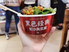 -黑色经典臭豆腐·湖南特产(坡子街店)