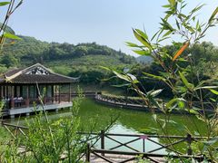 -缥缈峰景区