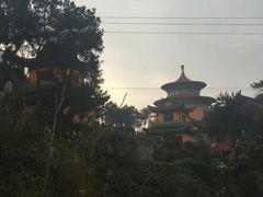 -铁山坪森林公园