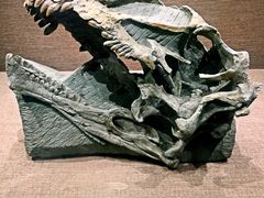 -自贡恐龙博物馆