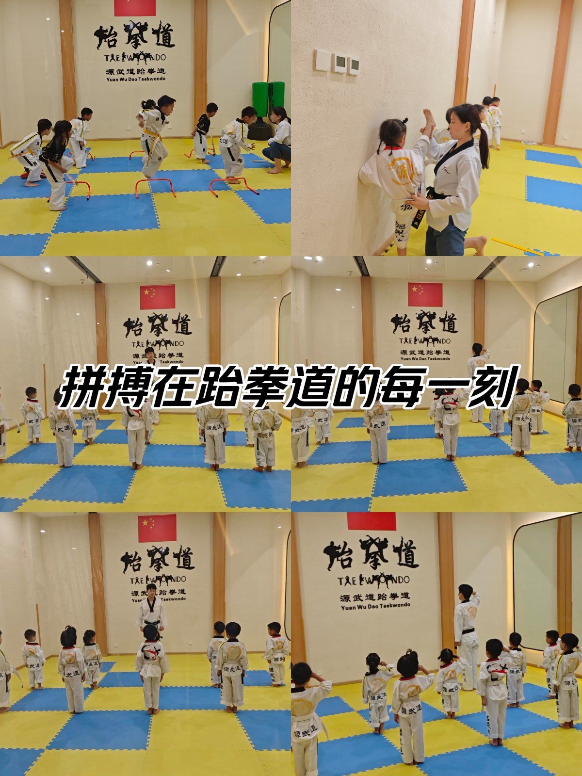 跆拳道基础班:梦想起航的热血之地