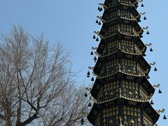 -哈尔滨极乐寺