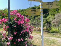 -杭州屏风山越野车营地·团建别墅轰趴民宿