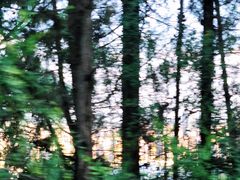 -长虫山生态公园风景林