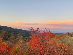 -北京西山国家森林公园
