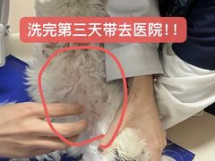 -小呆的宠物店·宠物售卖·宠物寄养(城西店)