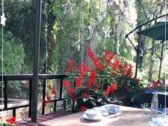 -丽泽山庄·生态怀柔菜·虹鳟鱼(红螺寺店)