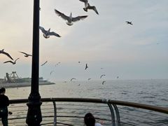 -东港音乐喷泉广场