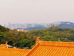 -深圳仙湖植物园