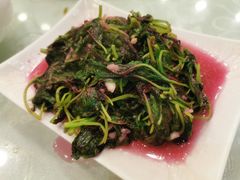 清炒米苋-老大同酒家·糟卤·本帮菜(中山公园店)