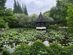 -上海醉白池公园