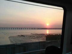 -宝安西湾红树林湿地公园