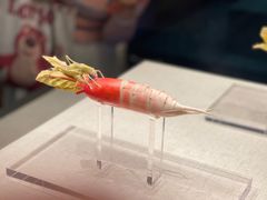 -河南博物院