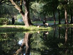 -上海共青森林公园