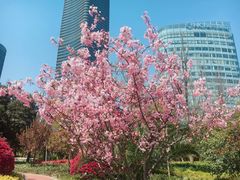 -北外滩滨江绿地