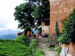 -杨家堂村
