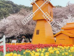 -苏州上方山国家森林公园