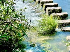 -花溪公园