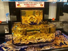 -蟹道乐(道顿堀本店)