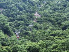 -牛背梁国家森林公园