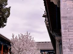 -恭王府博物馆