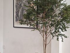 -TAOHUA夲夻咖啡馆