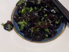 -蝶园·装修中(BFC外滩金融中心店)