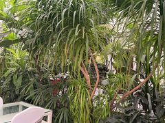 -特味村福园