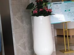-团圆口腔·种植中心(锦江院区)