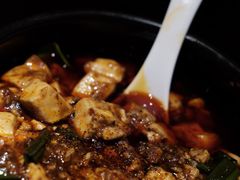 -陈麻婆豆腐总店