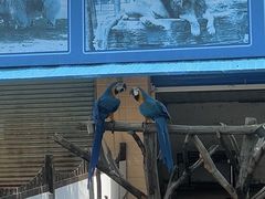 -秦皇岛野生动物园
