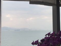 -龙景攀岩(海峡世茂广场店)