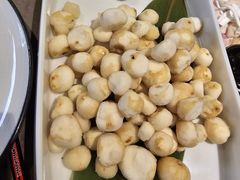 -同仁四季椰子鸡(海岸城天利店)