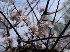 -碑林公园