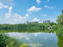 -成都南湖公园