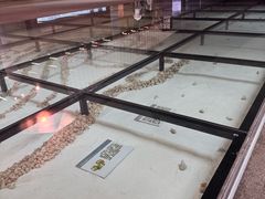 -云南省博物馆