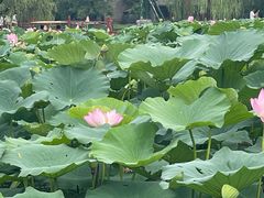 -承德避暑山庄景区