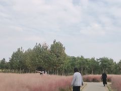 -南湖湿地公园