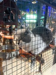 -酷嗒动物文化乐园(cutezoo西溪乐天城店)