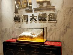 -阿五黄河大鲤鱼(纬三路店)